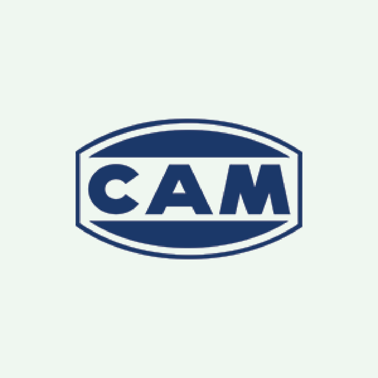 cam 01